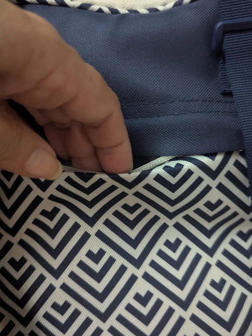 Navy and White Lunch Bag